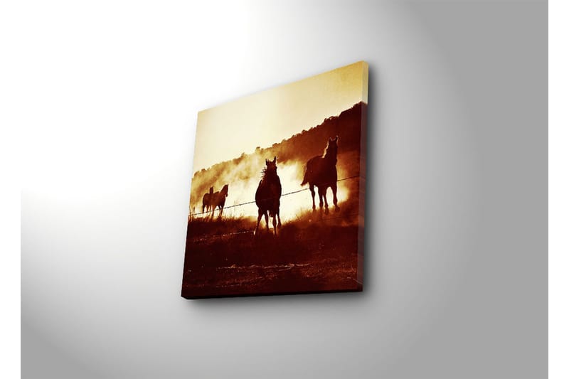Canvas-taulu 45x45 cm - Hevoset laukkaamassa lammikossa auringonlaskun valossa - Tummanruskea / Kultainen / Beige - Sisustustuotteet - Taulu & taide - Canvas-taulu