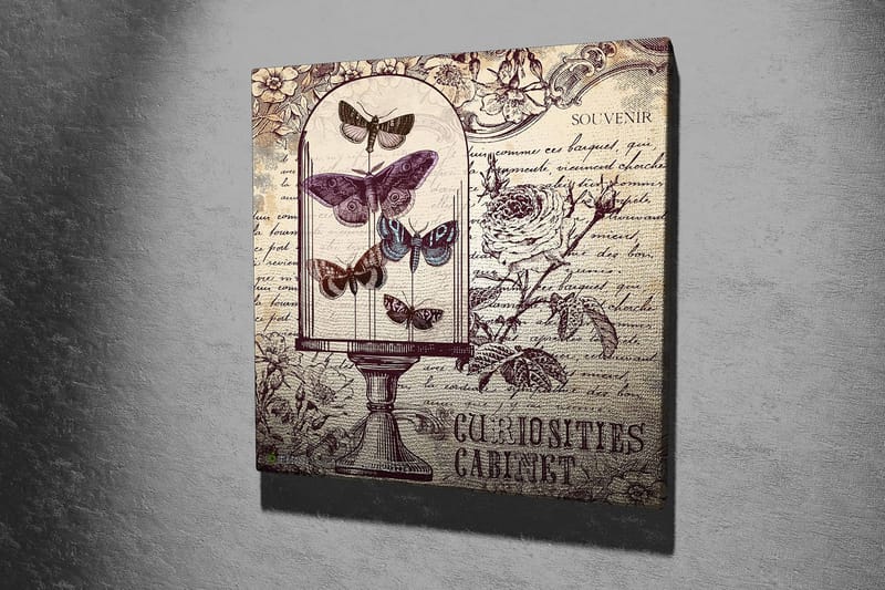 Canvas-taulu 45x45 cm - Hyönteisiä lasikulhossa, kukkia ja käsinkirjoitettua tekstiä taustalla - Violetti / Harmaa / Beige - Sisustustuotteet - Taulu & taide - Canvas-taulu