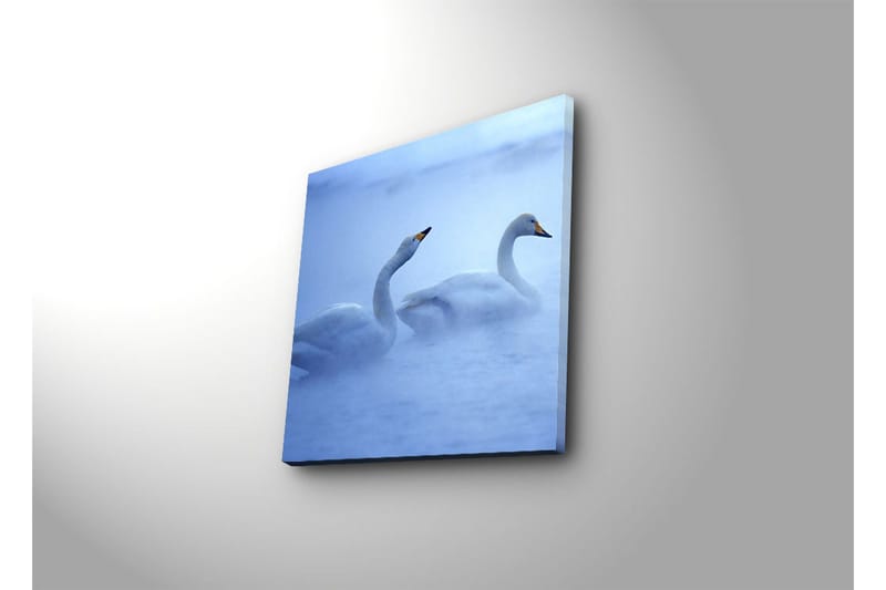Canvas-taulu 45x45 cm - Kaksi joutsenta ui sumussa - Valkoinen / Sininen - Sisustustuotteet - Taulu & taide - Canvas-taulu