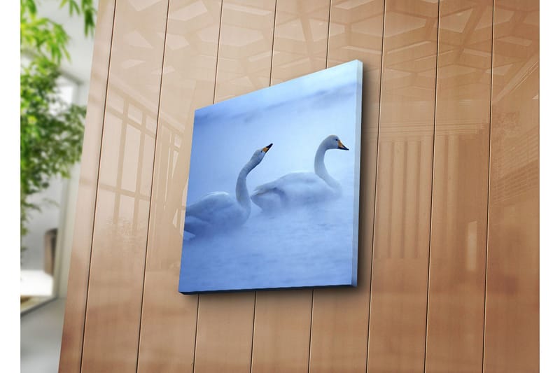 Canvas-taulu 45x45 cm - Kaksi joutsenta ui sumussa - Valkoinen / Sininen - Sisustustuotteet - Taulu & taide - Canvas-taulu