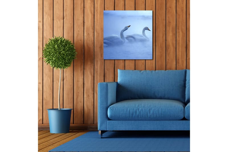 Canvas-taulu 45x45 cm - Kaksi joutsenta ui sumussa - Valkoinen / Sininen - Sisustustuotteet - Taulu & taide - Canvas-taulu