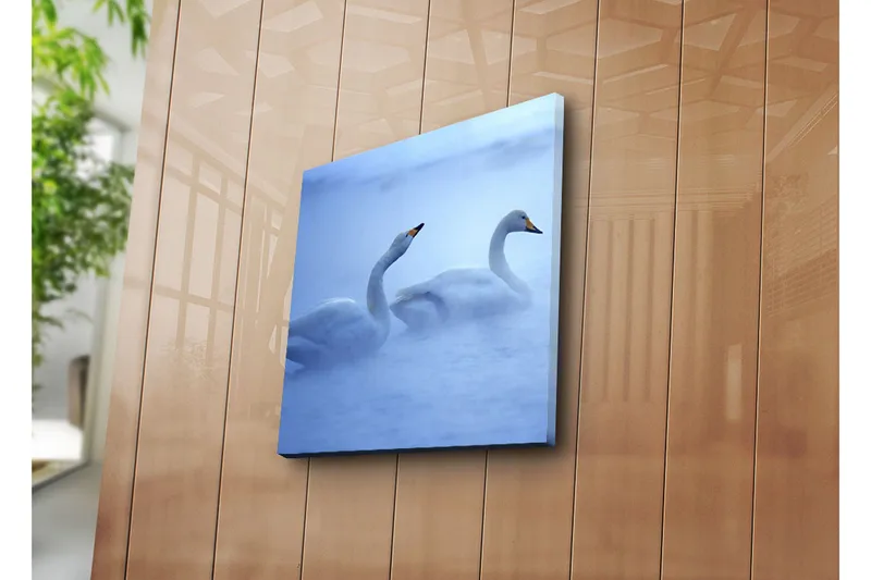 Canvas-taulu 45x45 cm - Kaksi joutsenta ui sumussa - Valkoinen / Sininen - Sisustustuotteet - Taulu & taide - Canvas-taulu