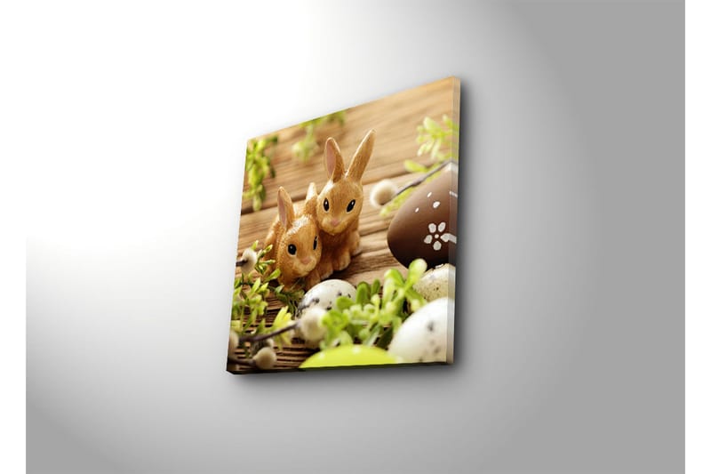 Canvas-taulu 45x45 cm - Kaksi suloista kania keväisessä ympäristössä - Ruskea / Vihreä / Beige - Sisustustuotteet - Taulu & taide - Canvas-taulu