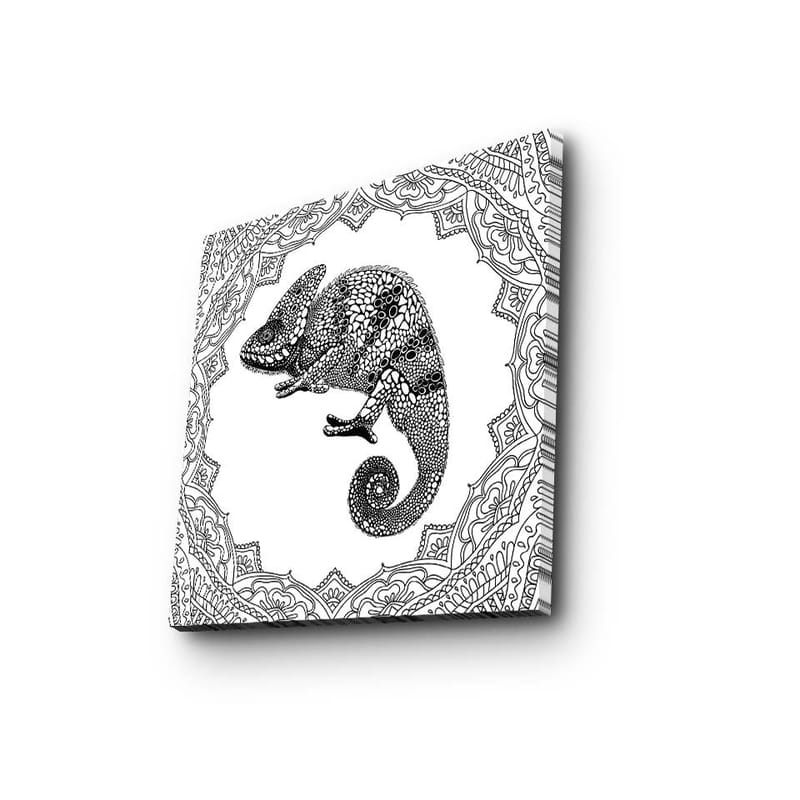 Canvas-taulu 45x45 cm - Kameleontti yksityiskohtaisessa mustavalkoisessa tyylissä - Musta / Valkoinen - Sisustustuotteet - Taulu & taide - Canvas-taulu