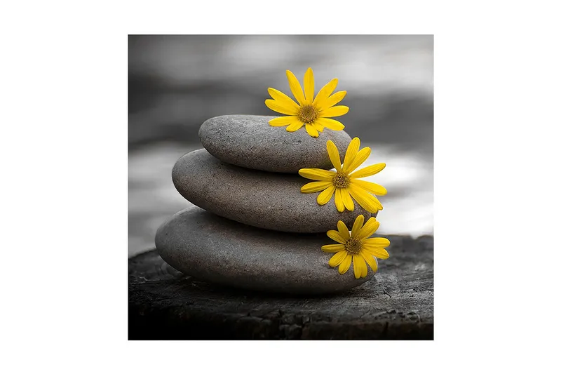 Canvas-taulu 45x45 cm - Kasa harmaita kiviä ja keltaisia kukkia, Harmaa / Keltainen