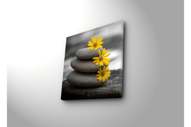 Canvas-taulu 45x45 cm - Kasa harmaita kiviä ja keltaisia kukkia - Harmaa / Keltainen - Sisustustuotteet - Taulu & taide - Canvas-taulu