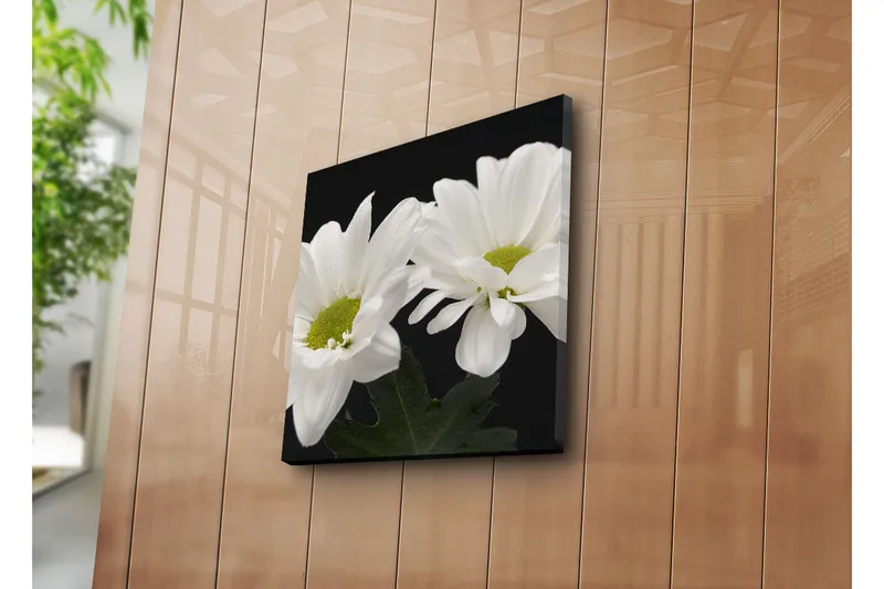 Canvas-taulu 45x45 cm - Kauniit valkoiset kukat vihreillä keskiosilla - Valkoinen / Vihreä - Sisustustuotteet - Taulu & taide - Canvas-taulu