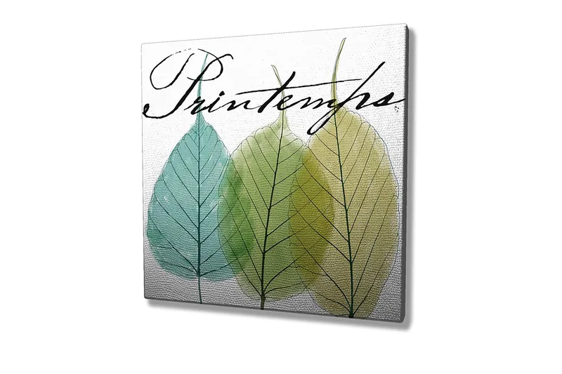 Canvas-taulu 45x45 cm - Kauniita lehtiä eri vihreän sävyissä - Vihreä / Vaaleansininen / Keltavihreä - Sisustustuotteet - Taulu & taide - Canvas-taulu