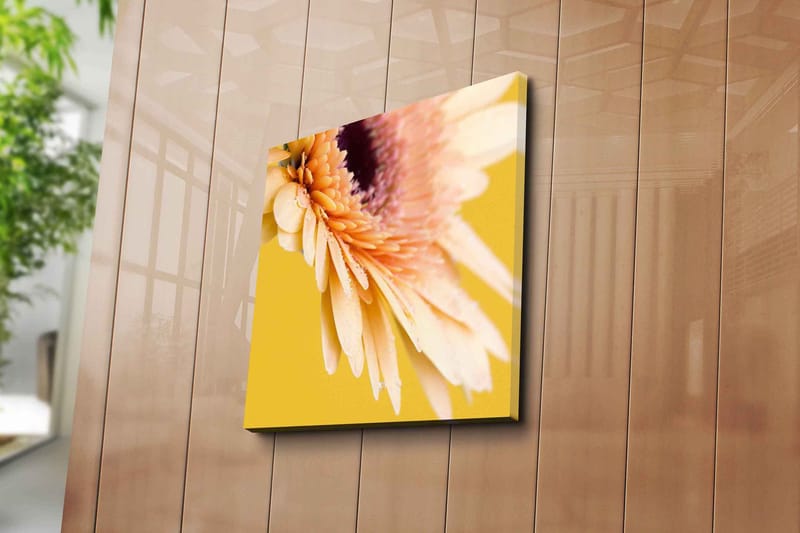 Canvas-taulu 45x45 cm - Kaunis kukka kirkkailla terälehdillä ja vesipisaroilla - Vaaleanpunainen / Keltainen / Violetti - Sisustustuotteet - Taulu & taide - Canvas-taulu