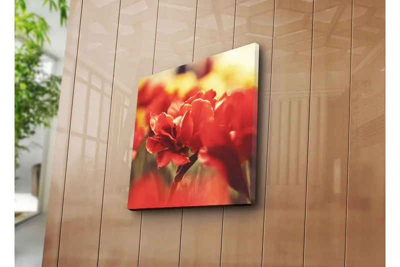 Canvas-taulu 45x45 cm - Kaunis punainen tulppaani keskipisteenä - Punainen / Vihreä - Sisustustuotteet - Taulu & taide - Canvas-taulu