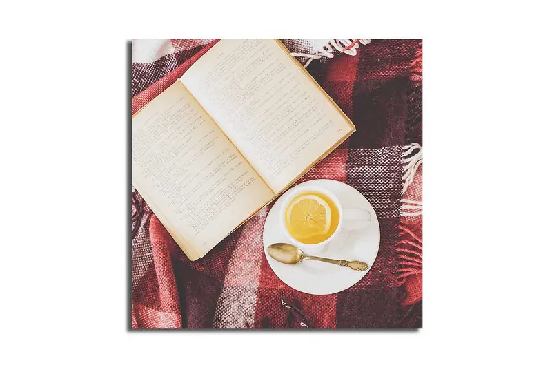 Canvas-taulu 45x45 cm - Kirja ja kuppi teetä ruutupeitolla, Punainen / Valkoinen / Beige