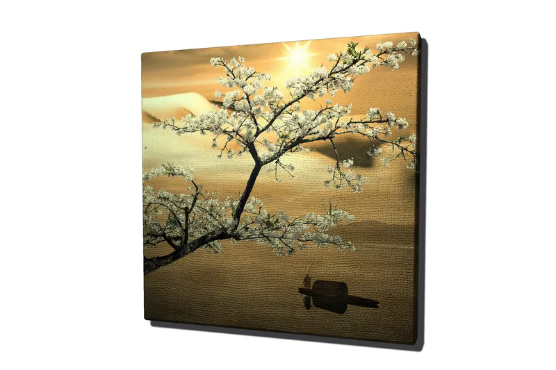 Canvas-taulu 45x45 cm - Kirsikankukkia auringonlaskun aikaan, Valkoinen / Kulta / Vihreä