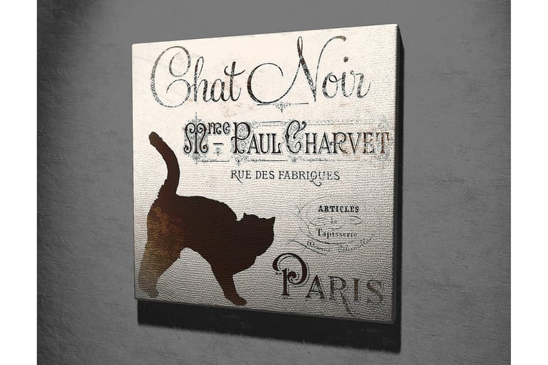 Canvas-taulu 45x45 cm - Kissan siluetti vintage-julisteessa - Musta / Beige / Ruskea - Sisustustuotteet - Taulu & taide - Canvas-taulu
