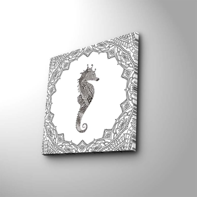 Canvas-taulu 45x45 cm - Komea merihevonen yksityiskohtaisessa kehyksessä - Musta / Valkoinen - Sisustustuotteet - Taulu & taide - Canvas-taulu