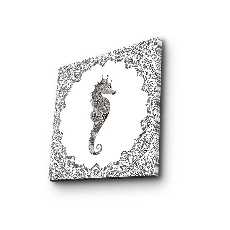 Canvas-taulu 45x45 cm - Komea merihevonen yksityiskohtaisessa kehyksessä, Musta / Valkoinen