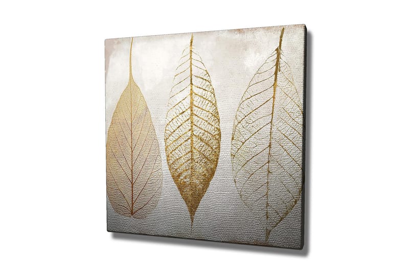 Canvas-taulu 45x45 cm - Kuivattuja lehtiä kullan sävyissä - Kulta / Beige / Valkoinen - Sisustustuotteet - Taulu & taide - Canvas-taulu