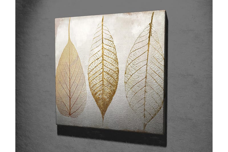 Canvas-taulu 45x45 cm - Kuivattuja lehtiä kullan sävyissä - Kulta / Beige / Valkoinen - Sisustustuotteet - Taulu & taide - Canvas-taulu