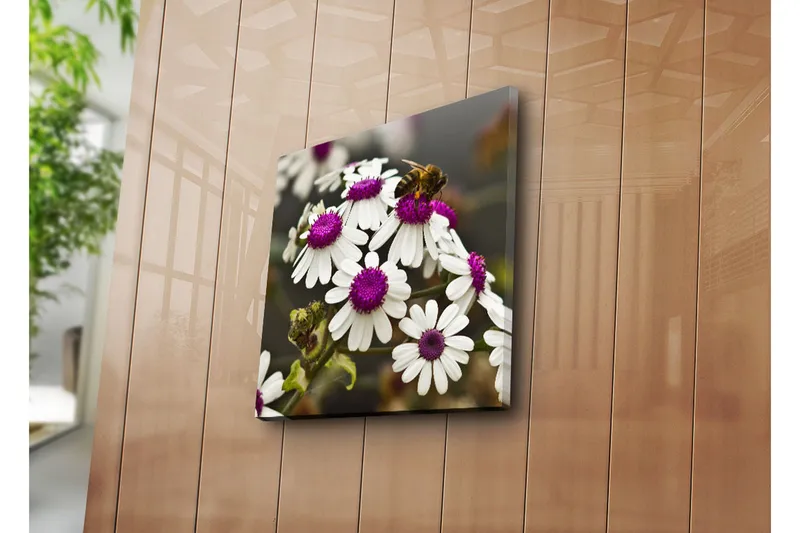 Canvas-taulu 45x45 cm - Kukka-asetelma valkoisilla kukilla ja violeteilla keskiosilla - Valkoinen / violetti - Sisustustuotteet - Taulu & taide - Canvas-taulu