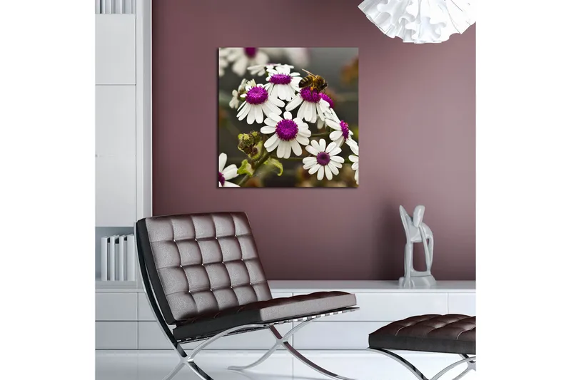 Canvas-taulu 45x45 cm - Kukka-asetelma valkoisilla kukilla ja violeteilla keskiosilla - Valkoinen / violetti - Sisustustuotteet - Taulu & taide - Canvas-taulu