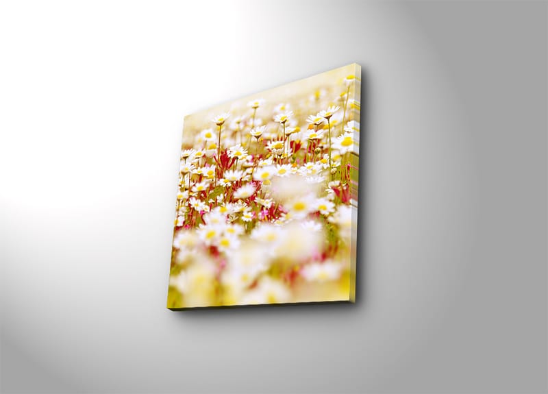 Canvas-taulu 45x45 cm - Kukkia eri valkoisen ja keltaisen sävyissä - Valkoinen / Keltainen / Vihreä - Sisustustuotteet - Taulu & taide - Canvas-taulu