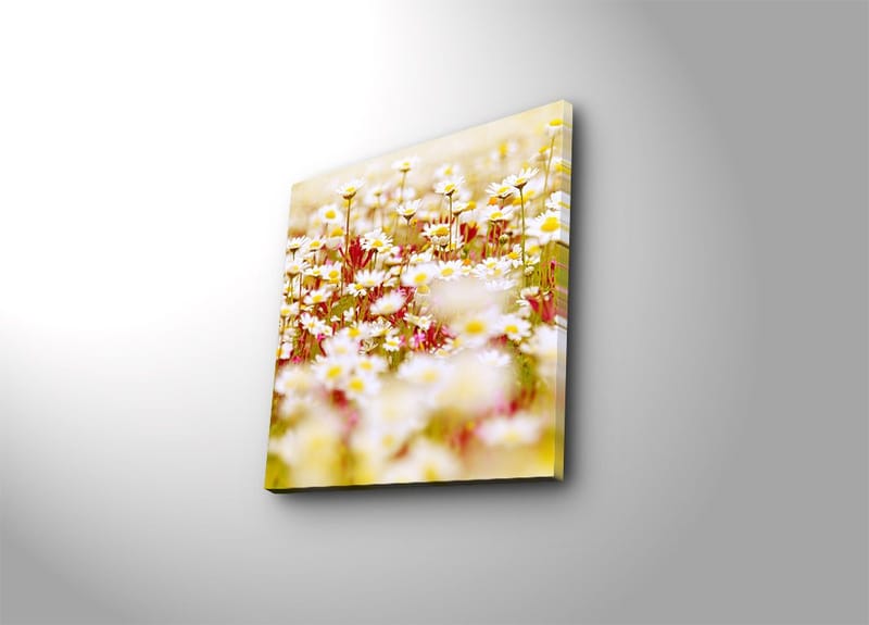 Canvas-taulu 45x45 cm - Kukkia eri valkoisen ja keltaisen sävyissä, Valkoinen / Keltainen / Vihreä