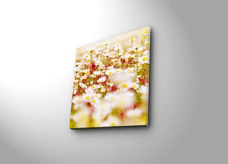 Canvas-taulu 45x45 cm - Kukkia eri valkoisen ja keltaisen sävyissä - Valkoinen / Keltainen / Vihreä - Sisustustuotteet - Taulu & taide - Canvas-taulu