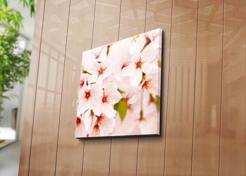 Canvas-taulu 45x45 cm - Kukkivia kirsikankukkia pastellisävyissä - Vaaleanpunainen / Valkoinen / Vihreä - Sisustustuotteet - Taulu & taide - Canvas-taulu