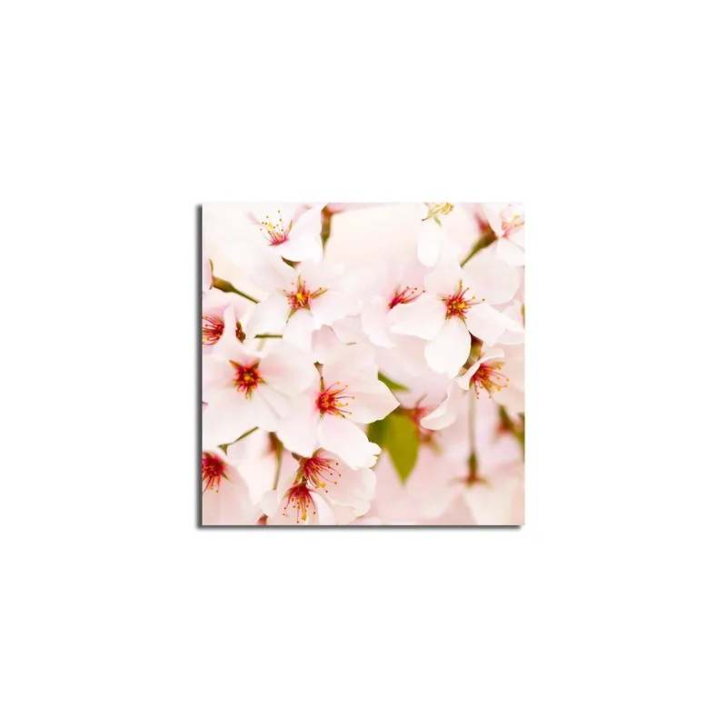 Canvas-taulu 45x45 cm - Kukkivia kirsikankukkia pastellisävyissä - Vaaleanpunainen / Valkoinen / Vihreä - Sisustustuotteet - Taulu & taide - Canvas-taulu