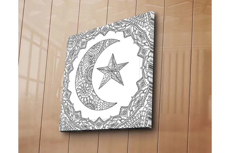 Canvas-taulu 45x45 cm - Kuvioitu puolikuu ja tähti koristekehyksissä - Musta / Valkoinen - Sisustustuotteet - Taulu & taide - Canvas-taulu