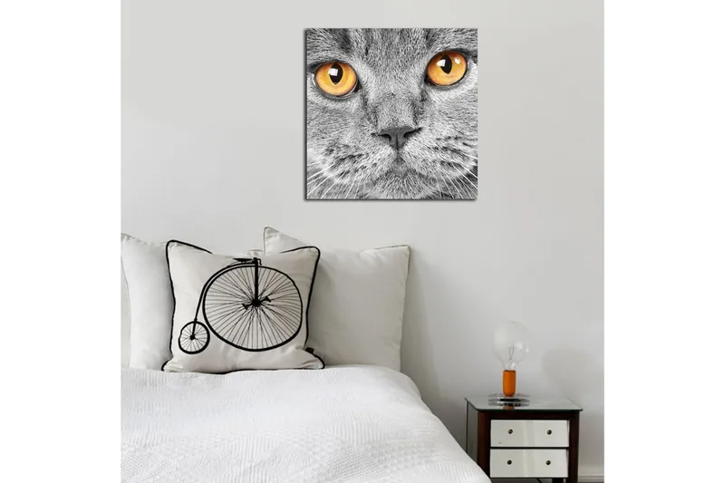 Canvas-taulu 45x45 cm - Lähikuva harmaasta kissasta ilmeikkäine silmineen - Harmaa / Oranssi - Sisustustuotteet - Taulu & taide - Canvas-taulu