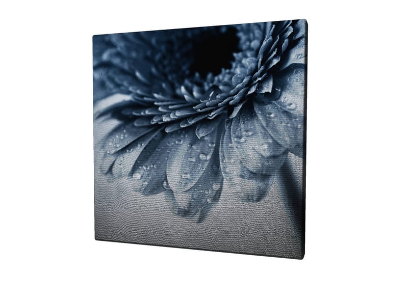 Canvas-taulu 45x45 cm - Lähikuva kukasta, jonka terälehdillä on vesipisaroita - Sininen / Harmaa - Sisustustuotteet - Taulu & taide - Canvas-taulu