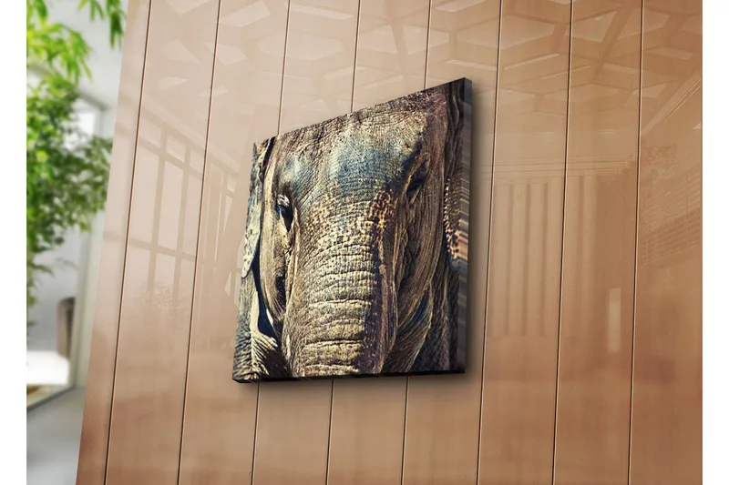 Canvas-taulu 45x45 cm - Lähikuva norsun kasvoista yksityiskohtaisella tekstuurilla - Harmaa / Ruskea / Beige - Sisustustuotteet - Taulu & taide - Canvas-taulu