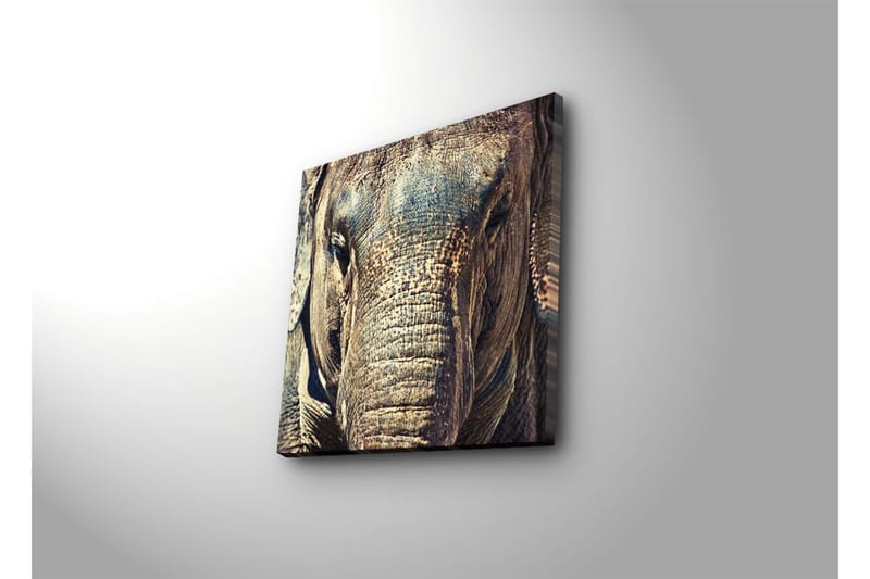 Canvas-taulu 45x45 cm - Lähikuva norsun kasvoista yksityiskohtaisella tekstuurilla - Harmaa / Ruskea / Beige - Sisustustuotteet - Taulu & taide - Canvas-taulu