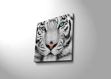 Canvas-taulu 45x45 cm - Lähikuva valkoisesta tiikeristä intensiivisine silmineen - Valkoinen / Musta / Vihreä - Sisustustuotteet - Taulu & taide - Canvas-taulu