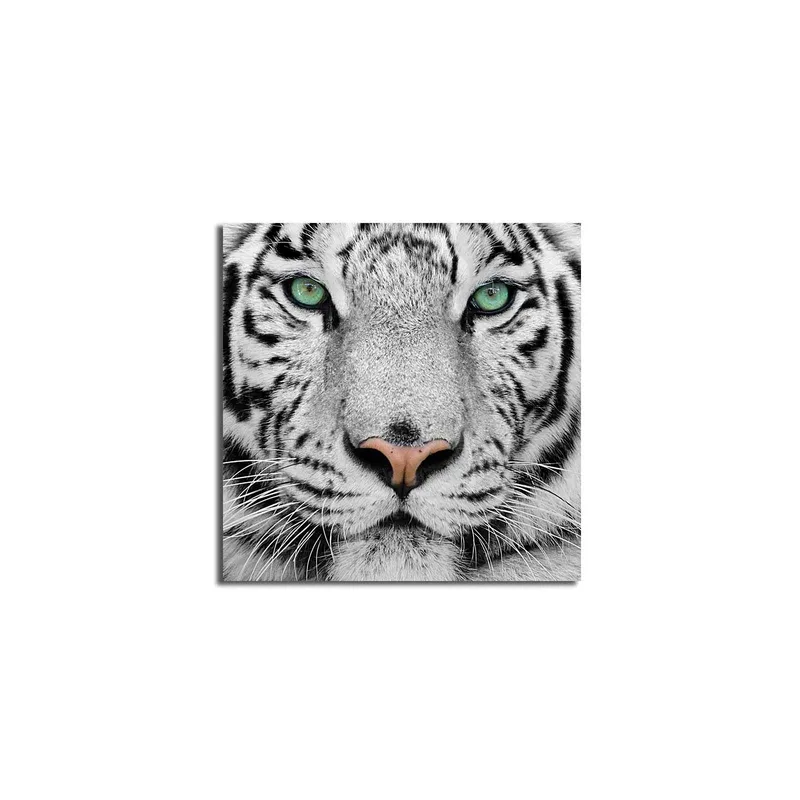 Canvas-taulu 45x45 cm - Lähikuva valkoisesta tiikeristä intensiivisine silmineen - Valkoinen / Musta / Vihreä - Sisustustuotteet - Taulu & taide - Canvas-taulu