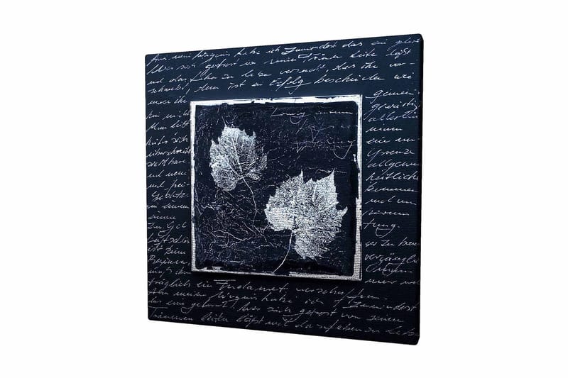 Canvas-taulu 45x45 cm - Lehtien siluetit tummalla taustalla teksturoidulla pinnalla, Musta / Valkoinen