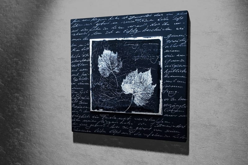 Canvas-taulu 45x45 cm - Lehtien siluetit tummalla taustalla teksturoidulla pinnalla - Musta / Valkoinen - Sisustustuotteet - Taulu & taide - Canvas-taulu