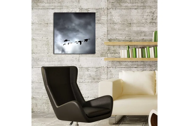 Canvas-taulu 45x45 cm - Lentävien lintujen parvi dramaattista taivasta vasten - Musta / Harmaa - Sisustustuotteet - Taulu & taide - Canvas-taulu