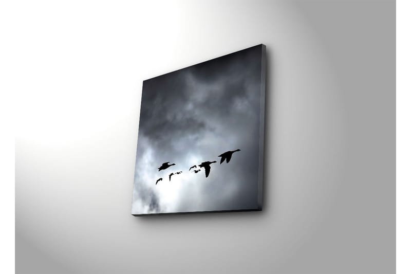 Canvas-taulu 45x45 cm - Lentävien lintujen parvi dramaattista taivasta vasten - Musta / Harmaa - Sisustustuotteet - Taulu & taide - Canvas-taulu