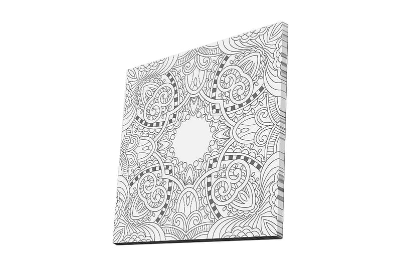 Canvas-taulu 45x45 cm - Monimutkainen kuvio geometrisilla ja orgaanisilla muodoilla, Musta / Valkoinen