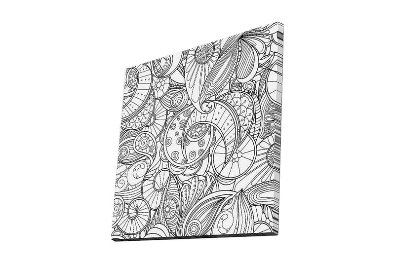 Canvas-taulu 45x45 cm - Monimutkainen kuvio simpukoista ja kaarevista viivoista, Musta / Valkoinen