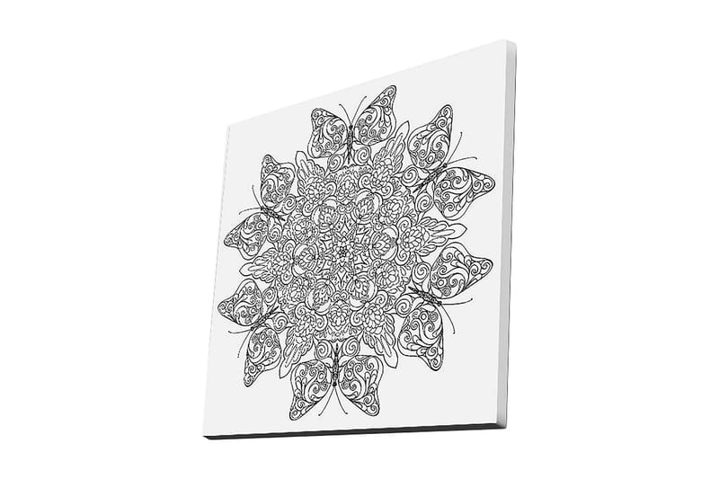Canvas-taulu 45x45 cm - Monimutkainen kuvio perhosista ja kukista, Musta / Valkoinen