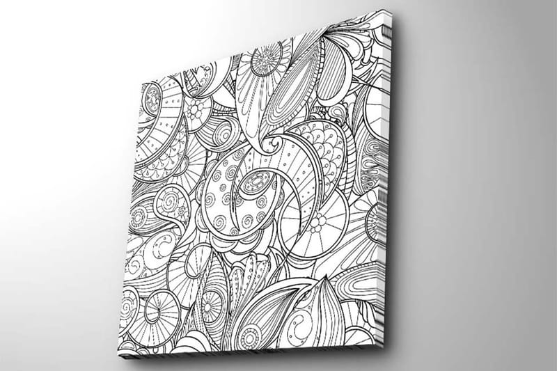 Canvas-taulu 45x45 cm - Monimutkainen simpukoiden ja spiraalien kuvio - Musta / Valkoinen - Sisustustuotteet - Taulu & taide - Canvas-taulu