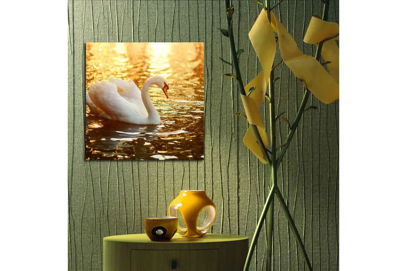 Canvas-taulu 45x45 cm - Musta joutsen ui kimaltelevassa vedessä - Valkoinen / Kulta / Oranssi - Sisustustuotteet - Taulu & taide - Canvas-taulu