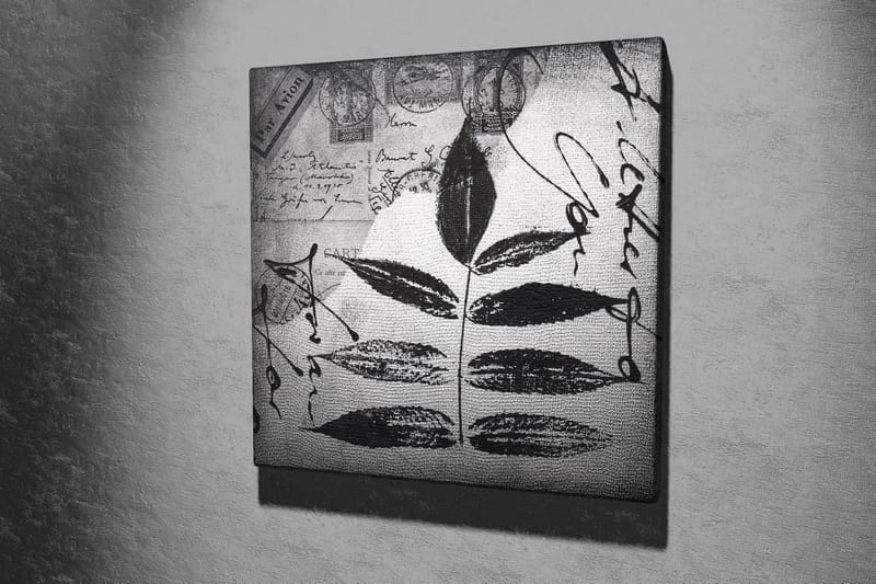 Canvas-taulu 45x45 cm - Musta lehtisiluetti harmaalla taustalla, käsinkirjoitettu teksti ja postileimat - Musta / Harmaa - Sisustustuotteet - Taulu & taide - Canvas-taulu