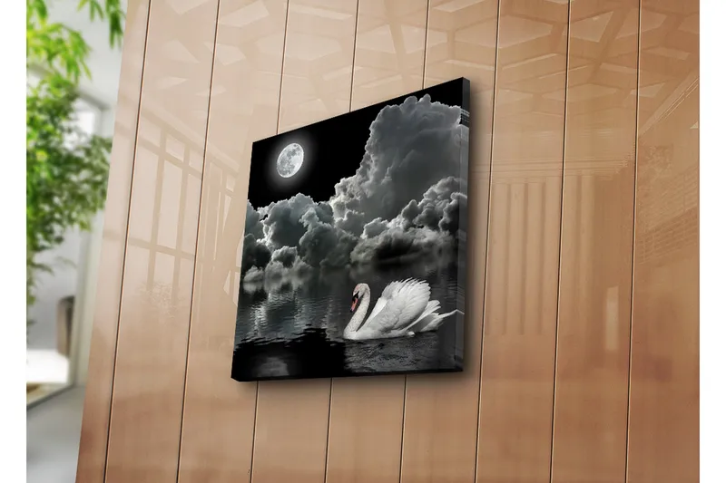 Canvas-taulu 45x45 cm - Mustavalkoinen joutsen ui täysikuun alla dramaattisella pilvisellä taivaalla - Valkoinen / Musta / Harmaa - Sisustustuotteet - Taulu & taide - Canvas-taulu