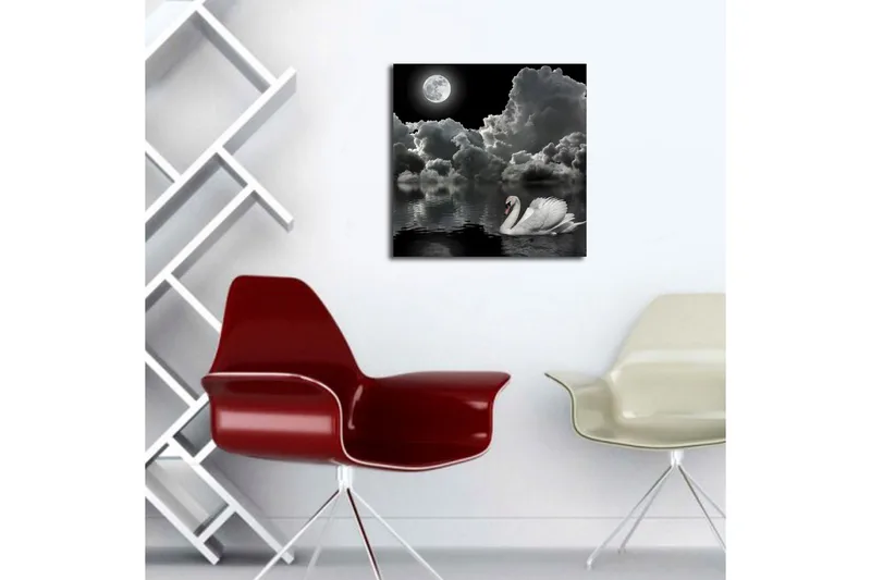 Canvas-taulu 45x45 cm - Mustavalkoinen joutsen ui täysikuun alla dramaattisella pilvisellä taivaalla - Valkoinen / Musta / Harmaa - Sisustustuotteet - Taulu & taide - Canvas-taulu
