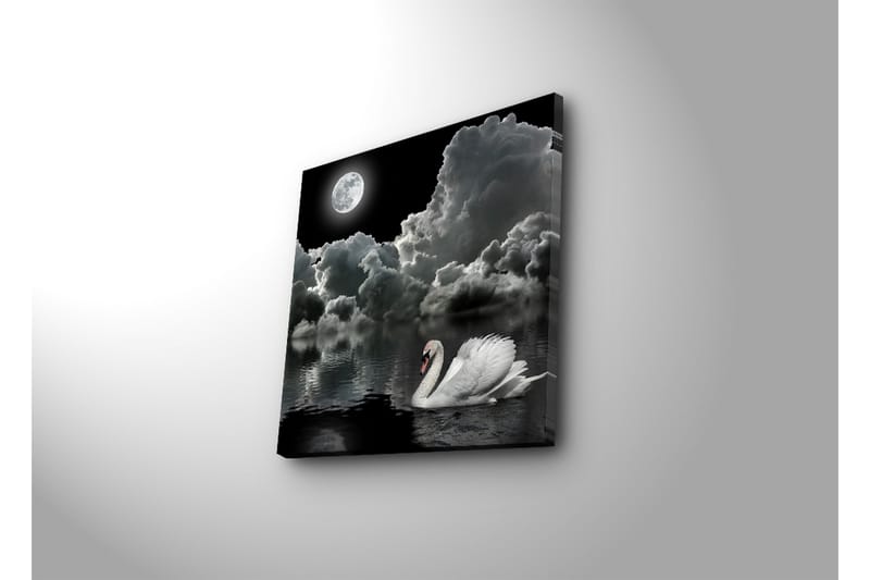 Canvas-taulu 45x45 cm - Mustavalkoinen joutsen ui täysikuun alla dramaattisella pilvisellä taivaalla - Valkoinen / Musta / Harmaa - Sisustustuotteet - Taulu & taide - Canvas-taulu