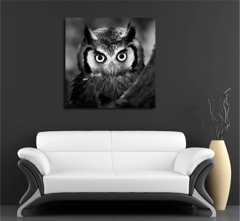 Canvas-taulu 45x45 cm - Mustavalkoinen lähikuva pöllöstä, jolla on huurteiset höyhenet ja läpitunkeva katse - Musta / Valkoinen - Sisustustuotteet - Taulu & taide - Canvas-taulu