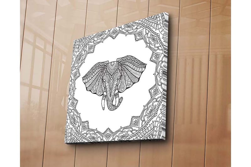 Canvas-taulu 45x45 cm - Norsu monimutkaisilla kuvioilla koristekehyksissä - Musta / Valkoinen - Sisustustuotteet - Taulu & taide - Canvas-taulu